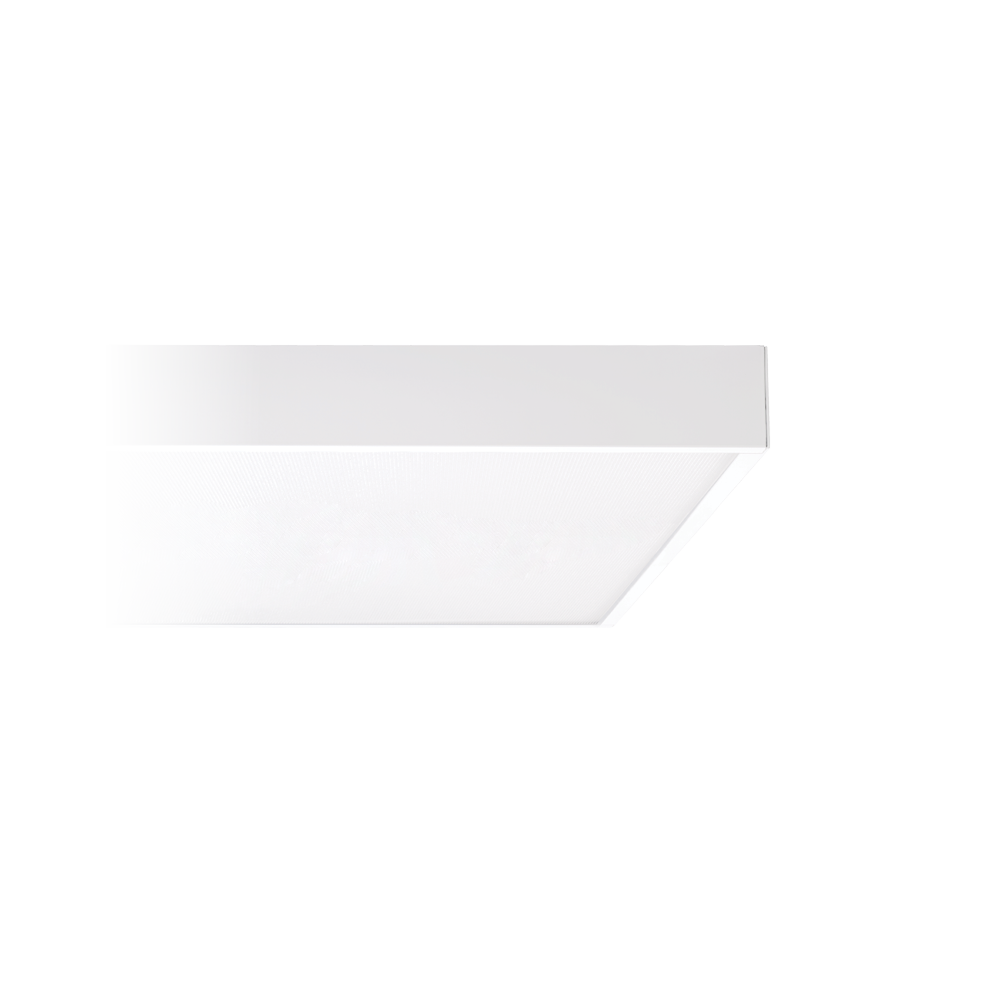 PNLP0306.MW-PNSM0306.MW